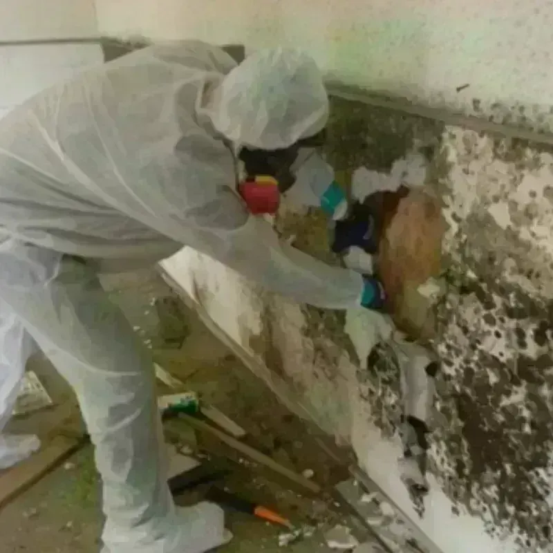 Mold Remediation and Removal in Geary, OK